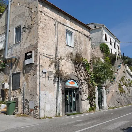 Fish Bed & Breakfast