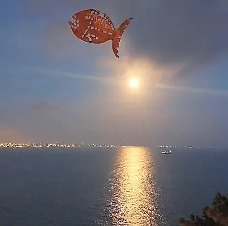 Fish Vietri