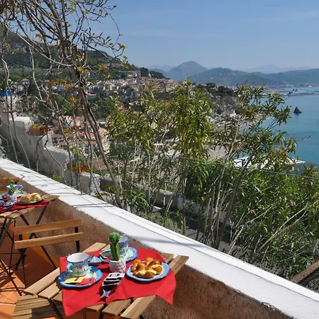 Fish Bed & Breakfast