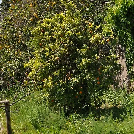 Bed & Breakfast Fish Vietri