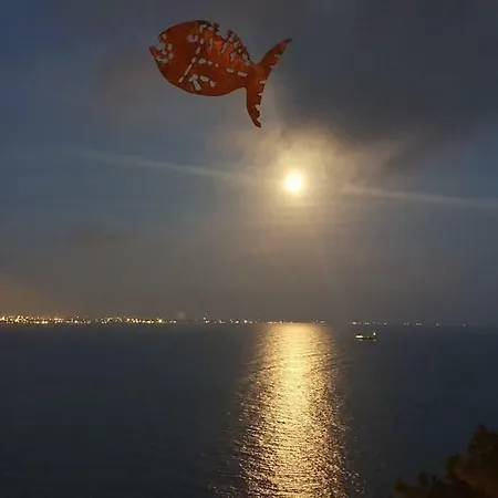 Oda ve Kahvaltı Fish