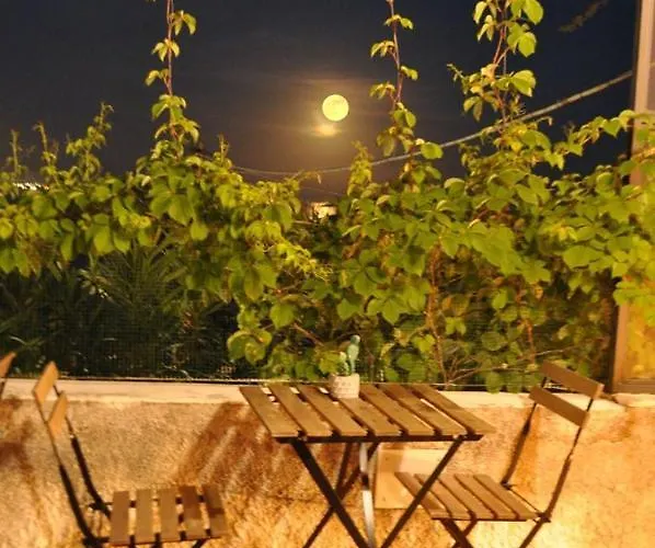 ベッド・アンド・ブレックファスト Fish