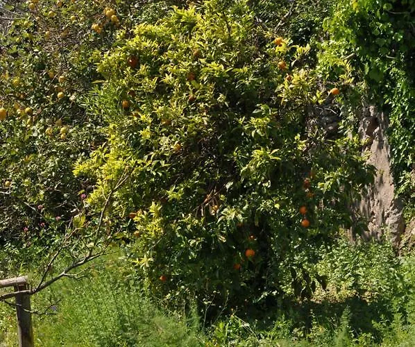 לינה וארוחת בוקר Fish Vietri