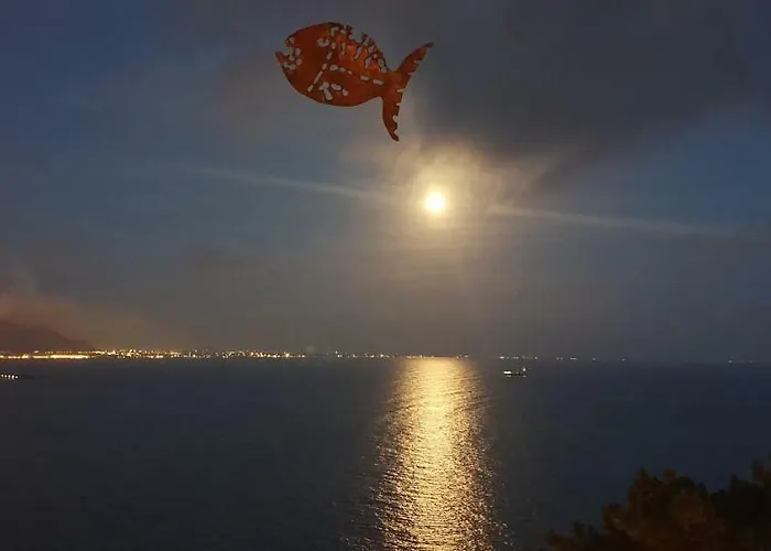 Nocleg ze śniadaniem Fish